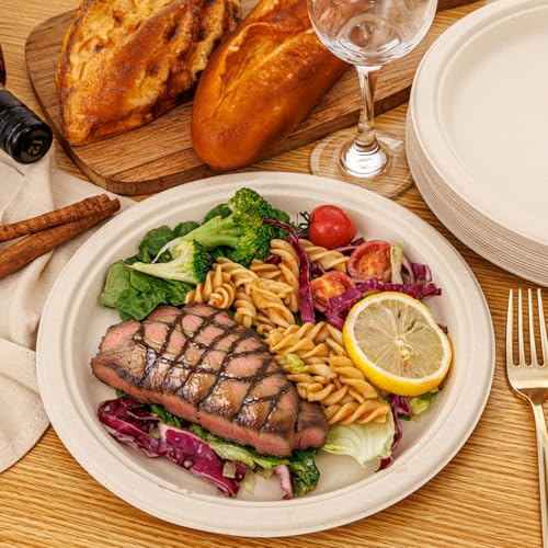 Paper Plates 10 Inch 125 (Natural / 10Inch（125 PCS）)