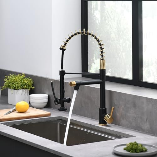 Black&Gold Kitchen Faucet with Sprayer (Black&Gold)