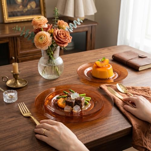 102 Pcs Amber Plastic Plates (102 Pieces / Clear Brown)