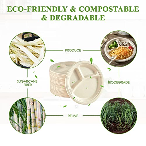 Compostable Paper Plates (3 Compartment 9 inch Nature)