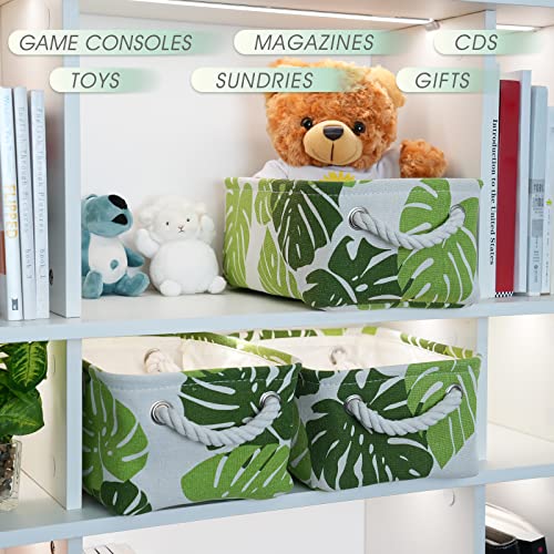 Storage Cubes (Banana Leaf / Small-6 Pack)