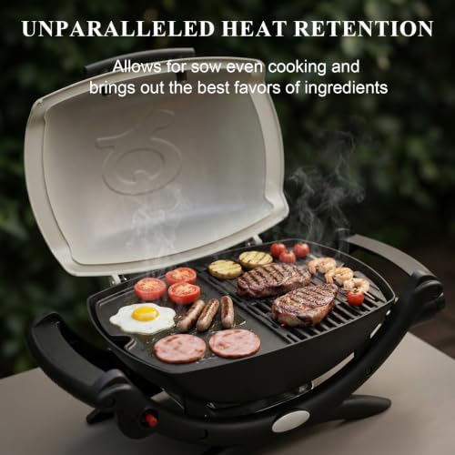 Cast Iron Griddle for Weber Q100 (12.6" x 8.6" x 0.5")