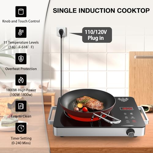 Portable Electric Cooktop 110V