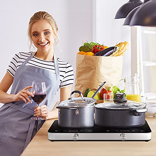 Portable Double Induction Cooktop (Double Induction Cooktop with Knob Control)