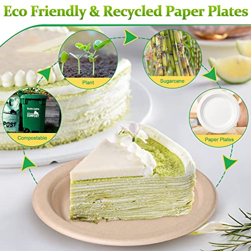 Paper Plates 6 inch (6 inch 100 pack)