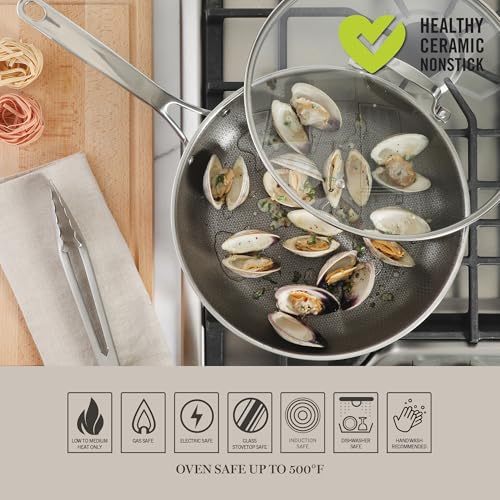 Badgley Hybrid Nonstick 12 Inch TriPly Stainless Steel Large Fry Pan With Lid & Stay Cool Handle (Triply Stainless / 12" Fry Pan)