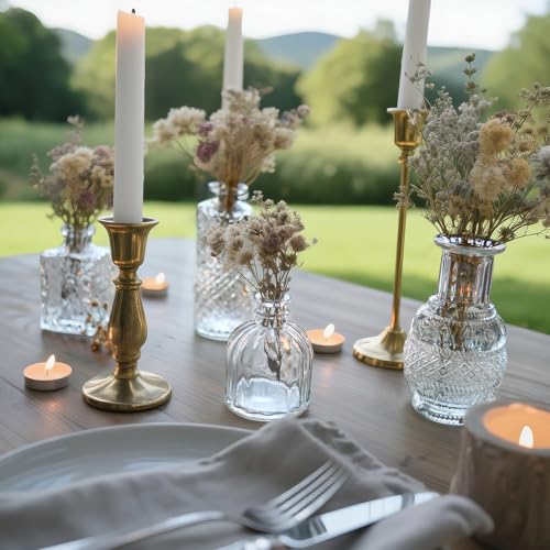 Glass Bud Vase Set of 12 Pcs Small Minimalist Vases for Flowers (Clear)