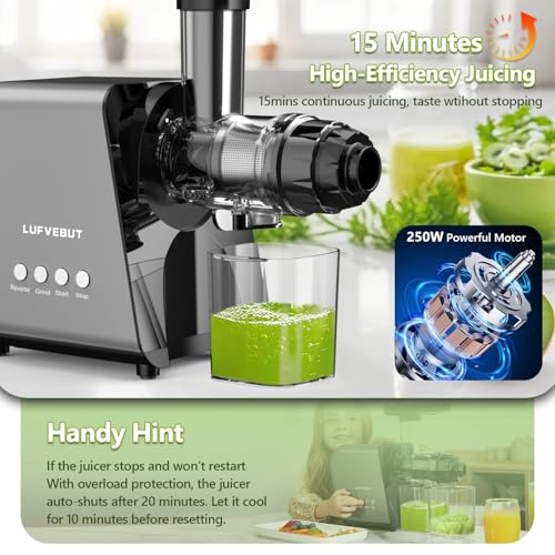 Masticating Juicer Machine 250W