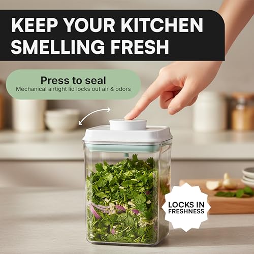 Bop Top Airtight Food Storage Containers (Single: 50 oz)
