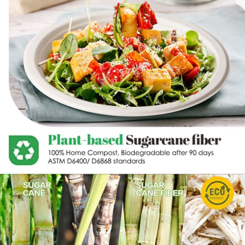 100% Compostable Plates 10 Inch 125 Pack Paper Plates Heavy (Whtie / 10in 125pcs)