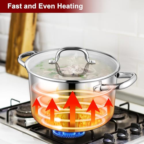 6 QT Stainless Steel Stock Pot (6 Quarts)
