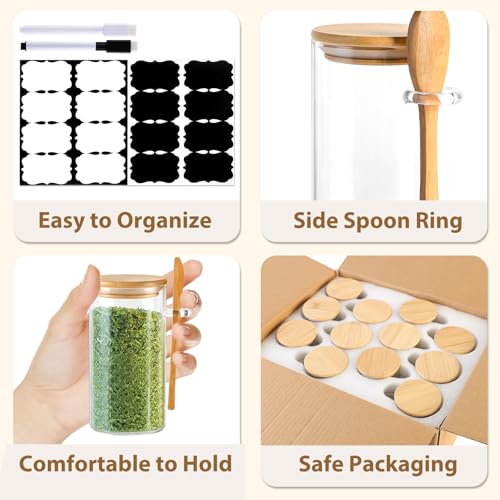 12 Pack 10 oz Round Glass Spice Jars with Lids and Spoons (12pcs-Round / 10oz)