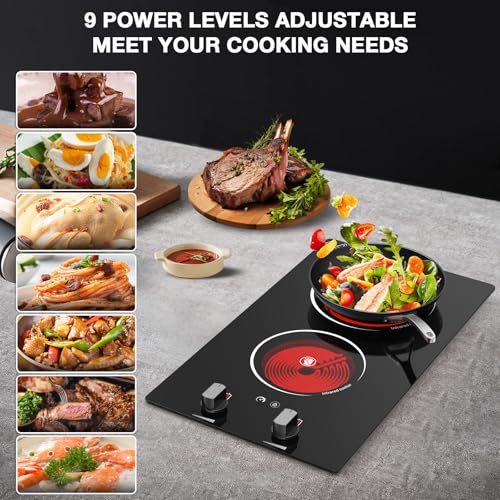 2 Burner Electric Cooktop (Double Electric Cooktop)