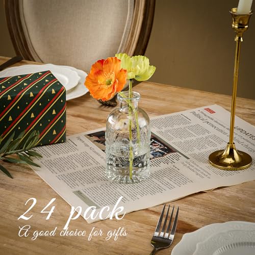 Glass Bud Vase Set of 24 Pcs Small Minimalist Vases for Flowers (Clear)