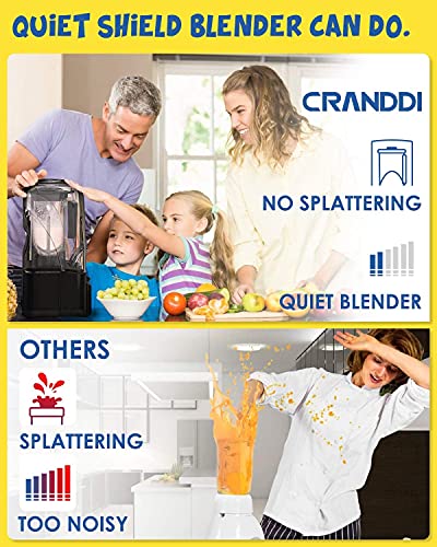 Quiet Commercial Blender with Soundproof Shield (Grey)