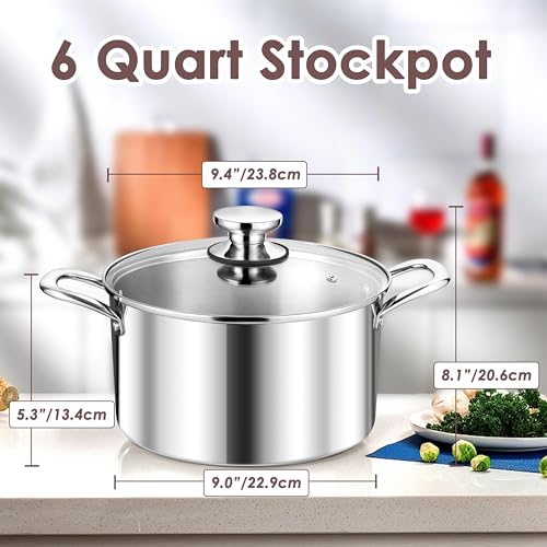 6 Quart Stock Pot