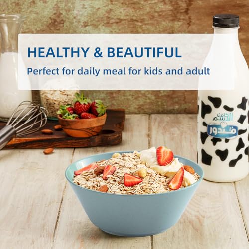 Unbreakable Large Cereal Bowls Set of 6