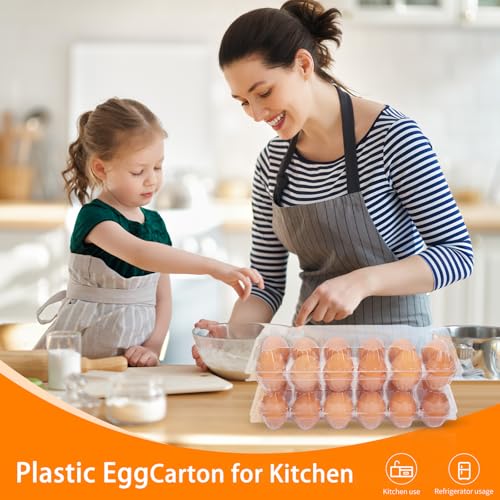 60 Pack Plastic Egg Cartons Cheap Bulk (60Pack-2x6Grids)