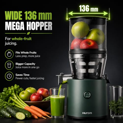 H320 Cold Press Juicer Machine (Kale Slow Juicer)