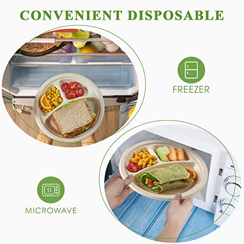 Compostable Paper Plates (3 Compartment 9 inch Nature)