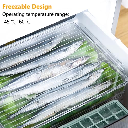 Stackable Freezer Organizer (Tray-M)