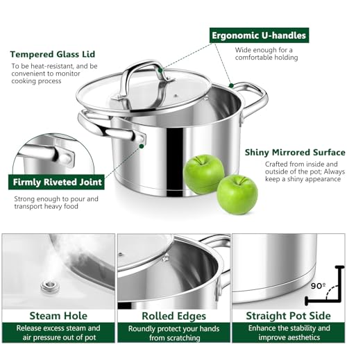 8 Quarts Stock Pot with Lid (8 Quarts)