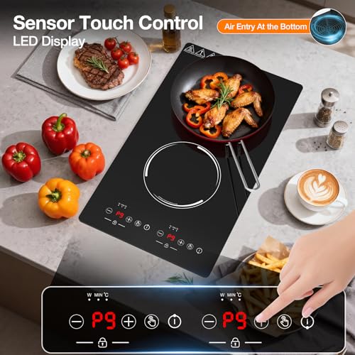 Double Induction Cooktop (12 Inch Black)