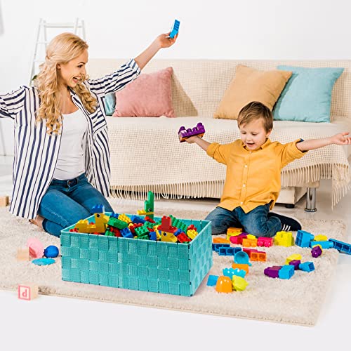 Storage Baskets (6 Count)