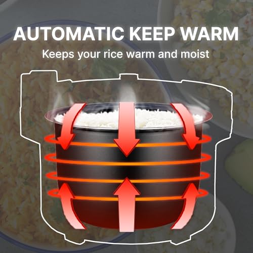 Commercial Rice Cooker & Warmer