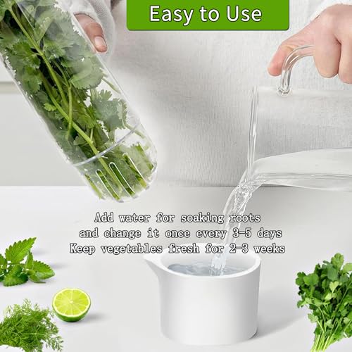 Herb Keeper for Refrigerator (Herb Keeper(4Pack))