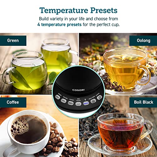 Smart Gooseneck Electric Kettle (Matte Black / 0.8 Quarts)