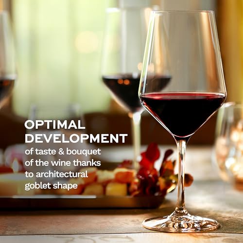 Revolution Bordeaux Red Wine Glasses 22 oz Set Of 4 (4 Pieces (1 Pack))
