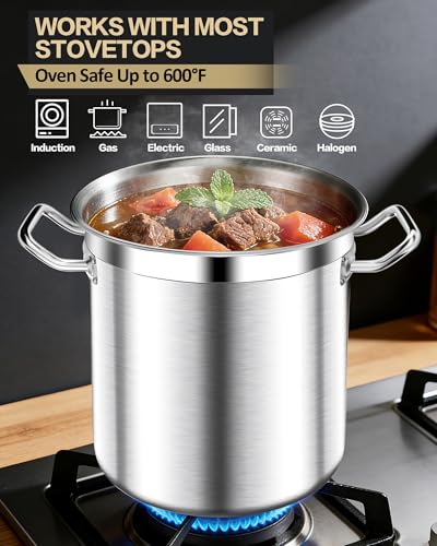 20 Quart Soup Pot with Lid