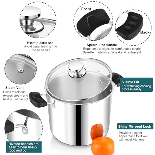 10 Qt Pot with Lid (10 Quarts)