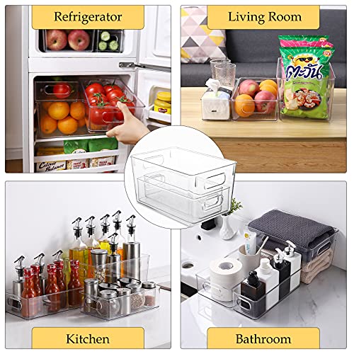 Set Of 6 Refrigerator Organizers and Storage (6 Count)