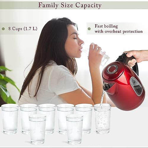 Red Stainless Steel Electric Kettle (Red 1.7L)
