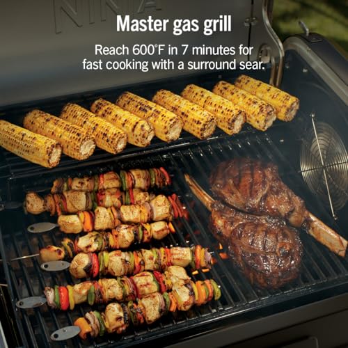 FlexFlame Grill & Smoker (Black)