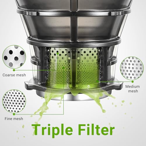 Cold Press Juicer (Gray / 5.8")