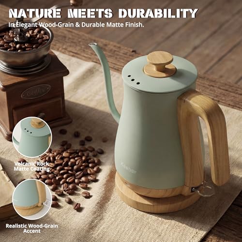 Gooseneck Electric Kettle (Light Green / 0.8 Quarts)