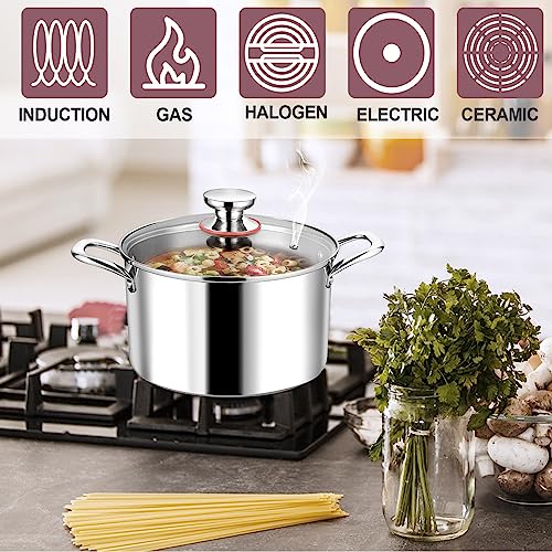 6QT 18 10 Stainless Steel Stockpot with Lid (6 Quarts)