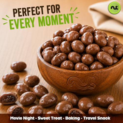 Chocolate Covered Raisins (Chocolate Covered Raisins / 8 oz)