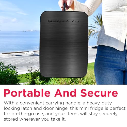 Mini Personal Fridge Cooler (BLACK STAINLESS)