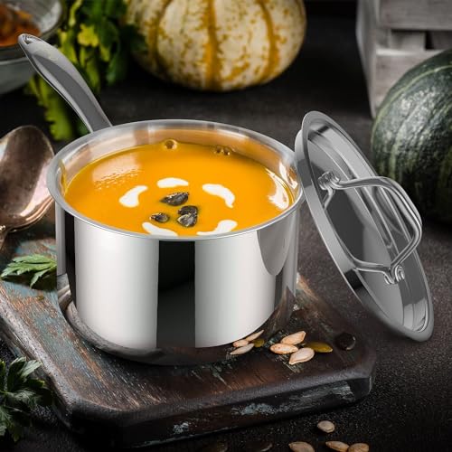 2 Quart Sauce Pan with Lid (Sauce Pan / 2 Quart)