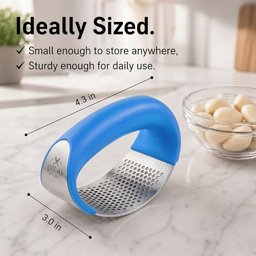 Stainless Steel Garlic Press Rocker Set (Blue)