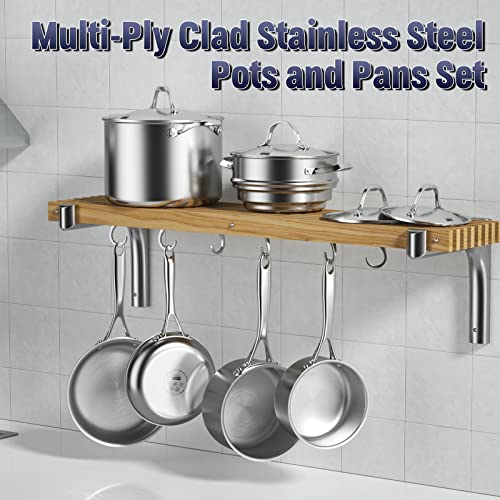 Multi Ply Clad Stainless Steel 12 (Silver / 12-Inch with Lid)