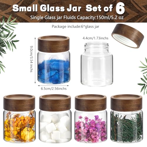 6 pc Glass Spice jars Glass Jars with Screw Lid 5 oz Acacia Wood Glass Herb Sugar Coffee Bean Ground Container Food Storage Canister for Candy Pantry Tea Seasoning Meal Prep Snack (6*150ml(5oz))