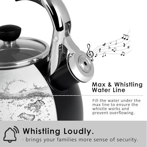 2.6 Quart Whistling Stainless Steel Tea Kettle for Stovetop (T-11BK)