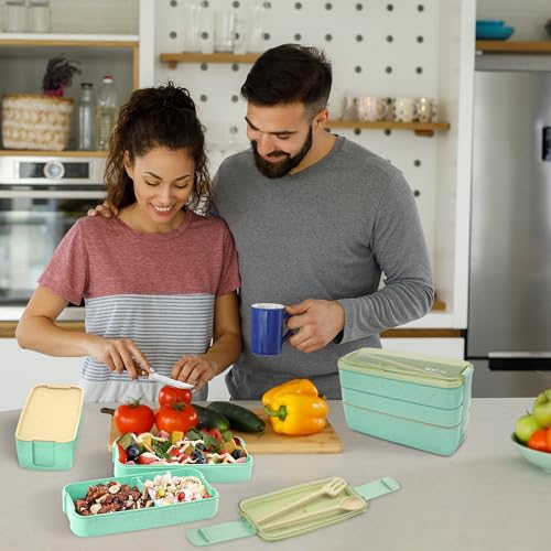 Bento Box Adult Lunch Box (900ml)