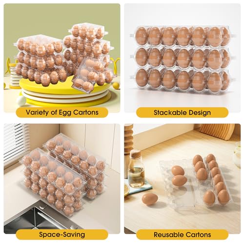 100 Pack Large Egg Cartons Cheap Bulk 6 Count Plastic Egg Containers 2x3 (100Pack-2x3 Large)