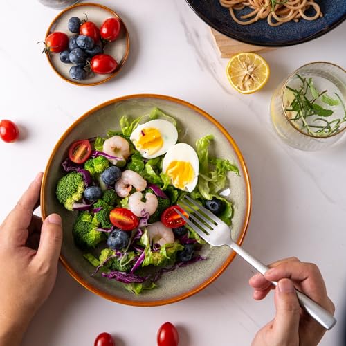 9.0" Ceramic Pasta Bowls Set of 6 (Set of 6 / Colorful)